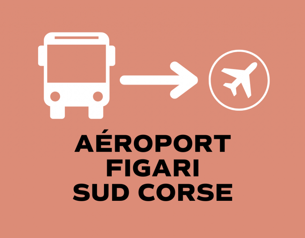 Bus Porto Vecchio _ _ Aéroport de Figari Sud Corse
